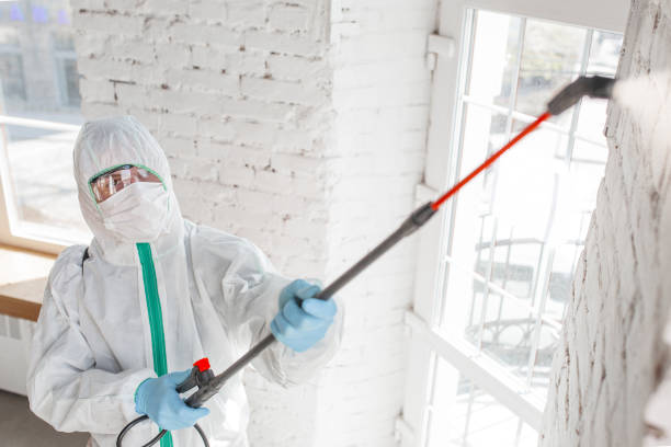 Mold Remediation for Rental Properties in Lakeland Highlands, FL